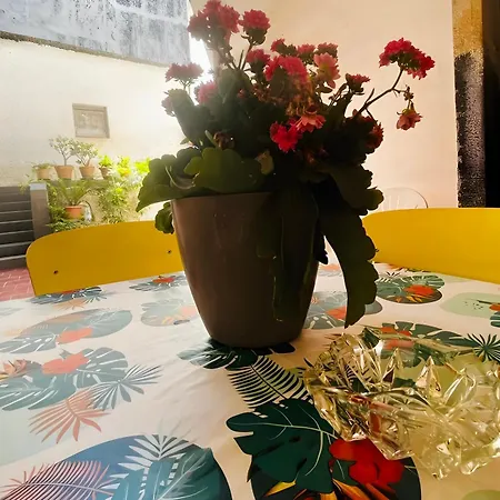 Casa In Centro A *